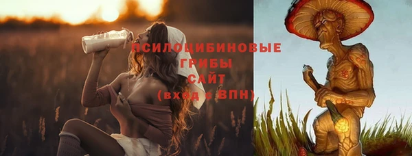 кокс Костерёво
