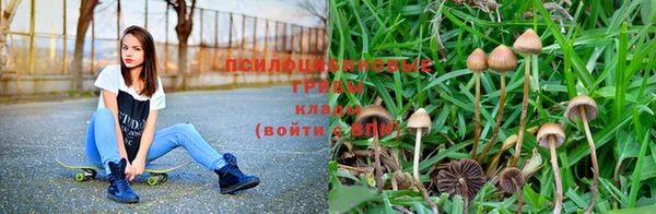 мдма Корсаков