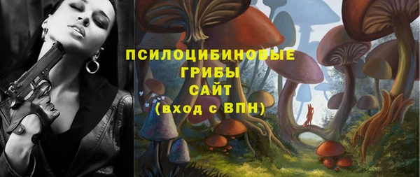 кокс Костерёво