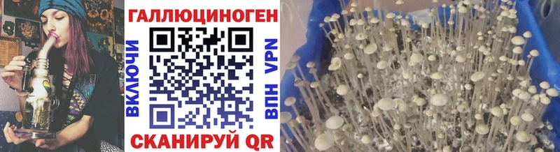 Галлюциногенные грибы мухоморы  цены наркотик  Северск 