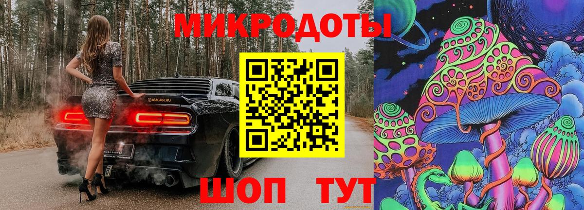 Галлюциногенные грибы GOLDEN TEACHER  купить закладку  Северск  Псилоцибиновые грибы мухоморы 