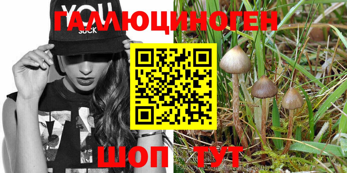 КОКАИН  Конопля  Северск  APVP СОЛЬ   ГАШИШ  Меф МЯУ МЯУ  