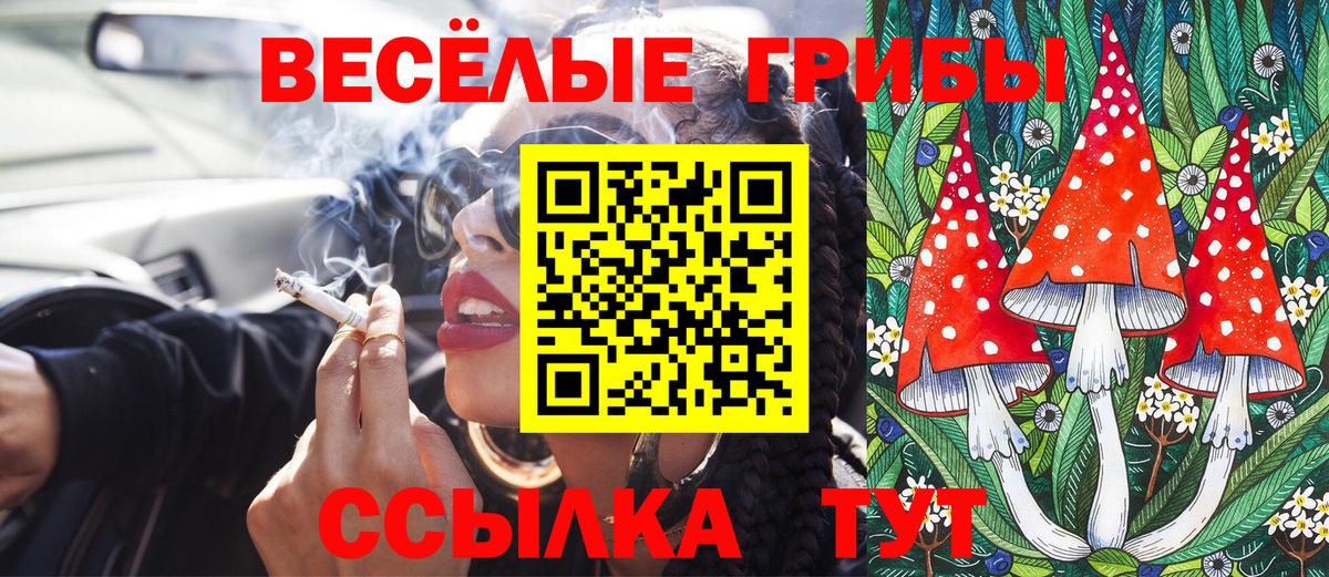 Псилоцибиновые грибы Cubensis Северск